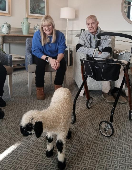 marmalade the lamb with residents