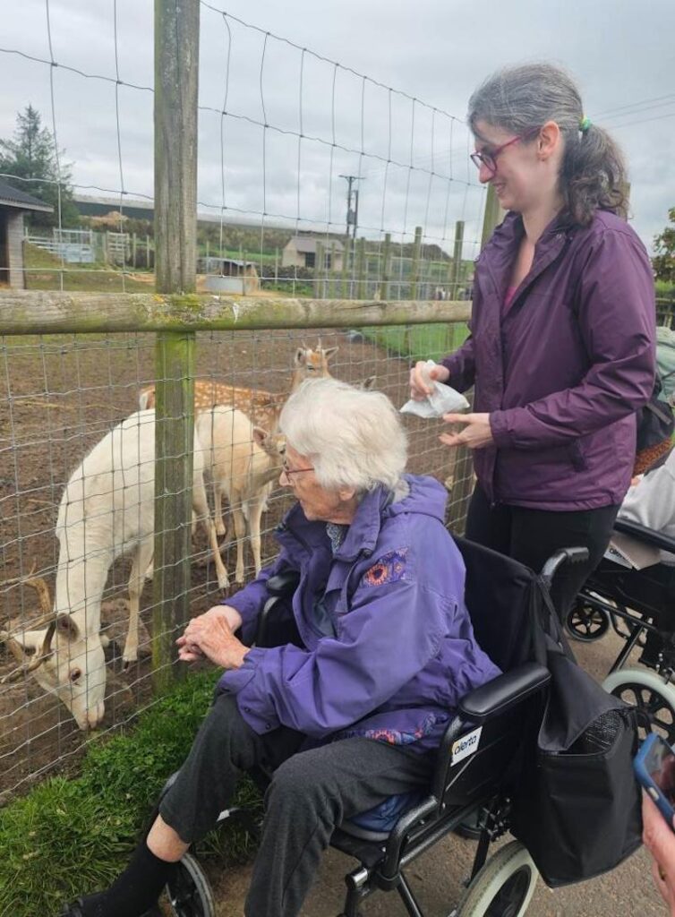 one of our residents feeding the animals at the farm